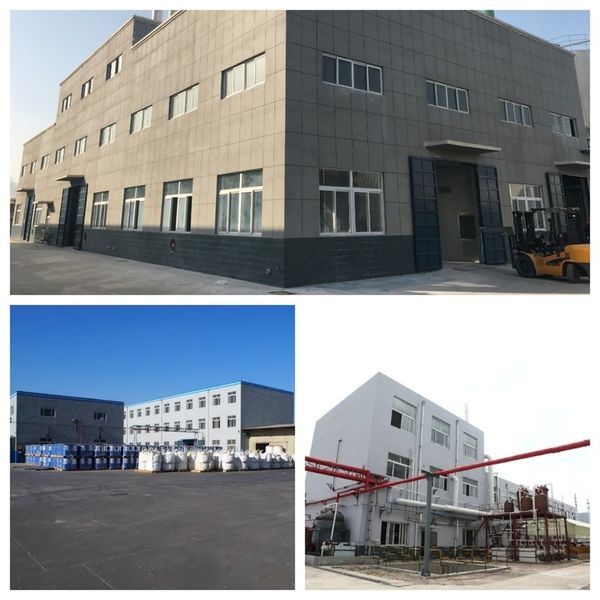 Китай Shandong Jiuchong Chemical Co., Ltd. Профиль компании