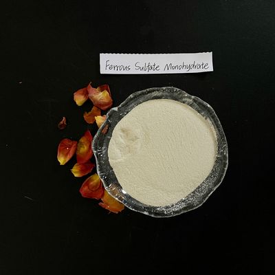 Ferrous Sulfate Monohydrate Powder 91% for Water Treatment